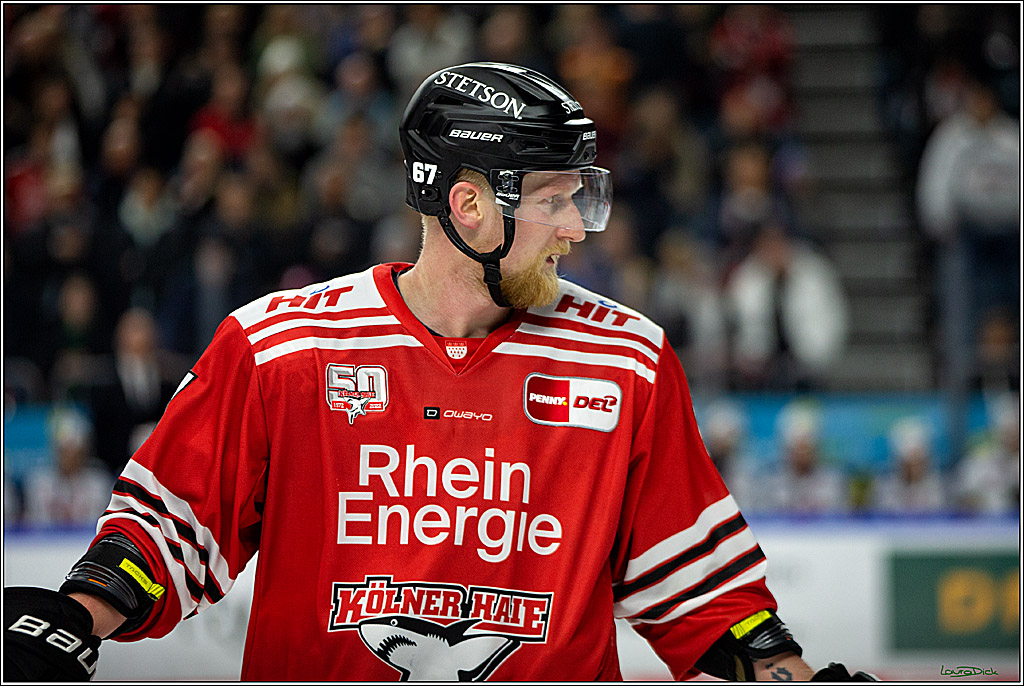 PENNY DEL; Koelner Haie- Nuernberger Ice Tigers; Koeln, 18.11.2022